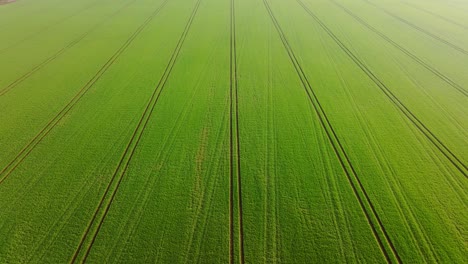 drone captures artistic farmland textures from above on misty spring day, latvia