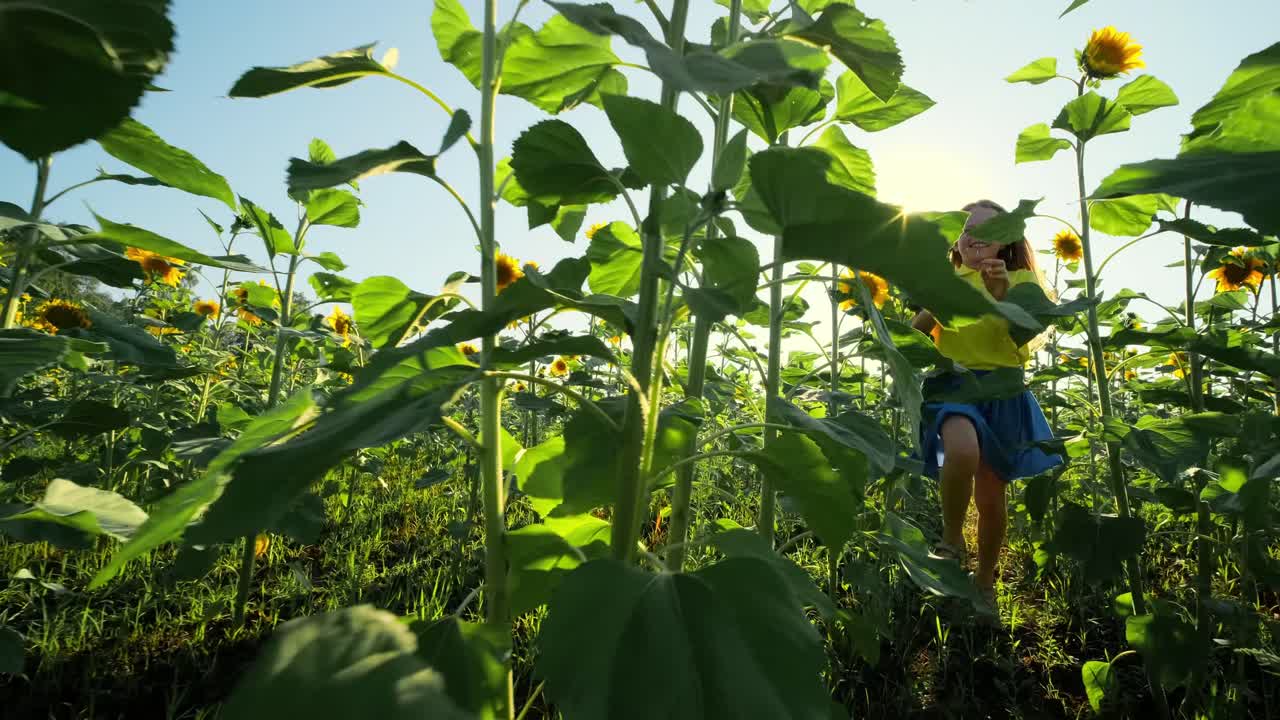 Girl Running in a Sunflower Field