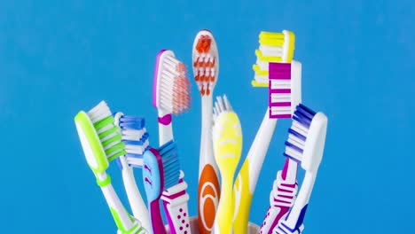 toothbrush cup with toothbrushes in different colors, loop