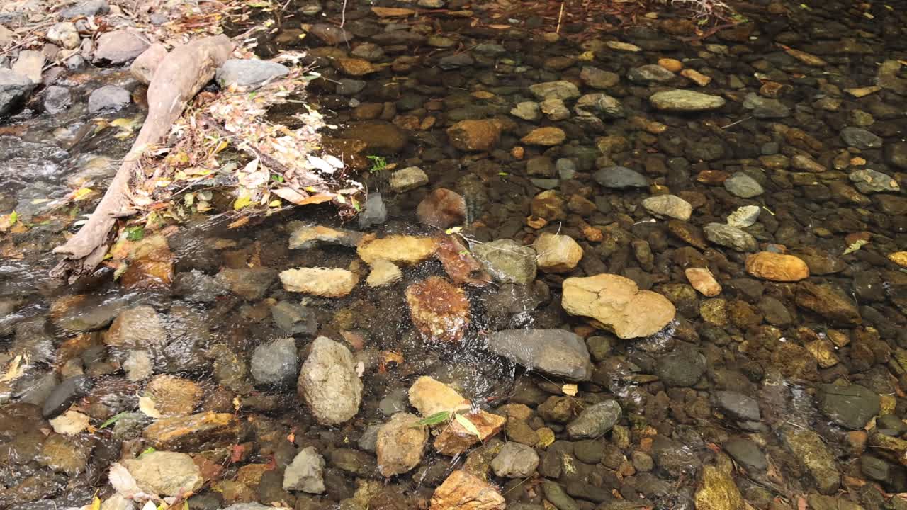 Persona che cammina nell'acqua su un letto di ruscello roccioso