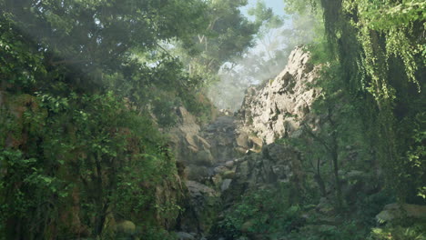 a lush forest path with a stream running through it