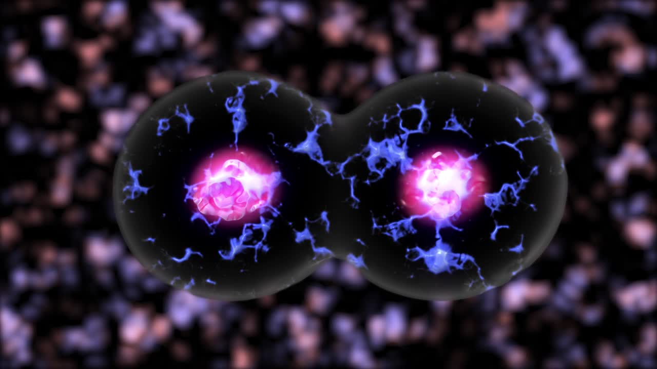 células bacterianas que se dividen de uno a dos animaciones hd