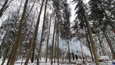 Holzfäller-Eine-Birke-Fällen-Und-Prüfen,-In-Welche-Richtung-Der-Baum-Fallen-Soll