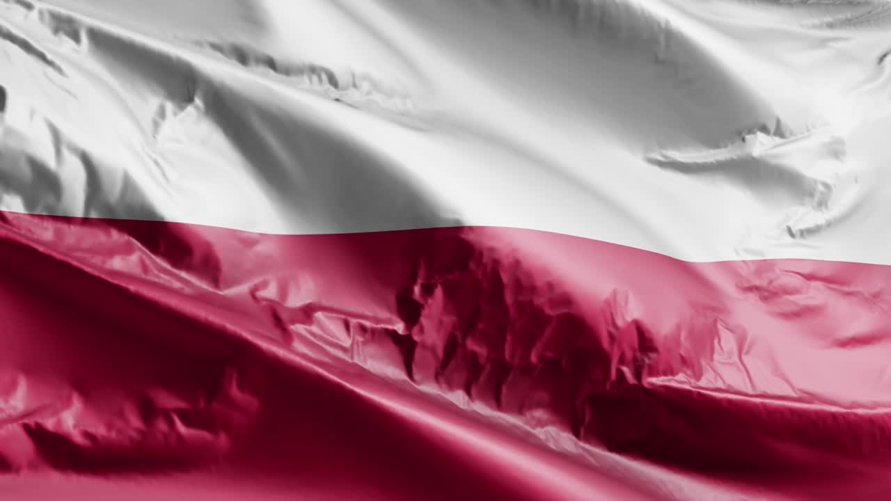 폴란드 발이 바람에 흔들리고, 폴란드의 발은 바람에 휘어지고, 배경은 완전히 가득 차 있고, 10초의 루프가 있습니다.