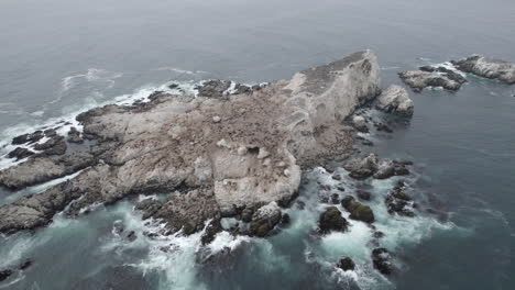 Luftaufnahme-Eines-Von-Meereswellen-Umgebenen-Felsens,-In-Dem-Sich-Eine-Kolonie-Wilder-Vögel-Befindet