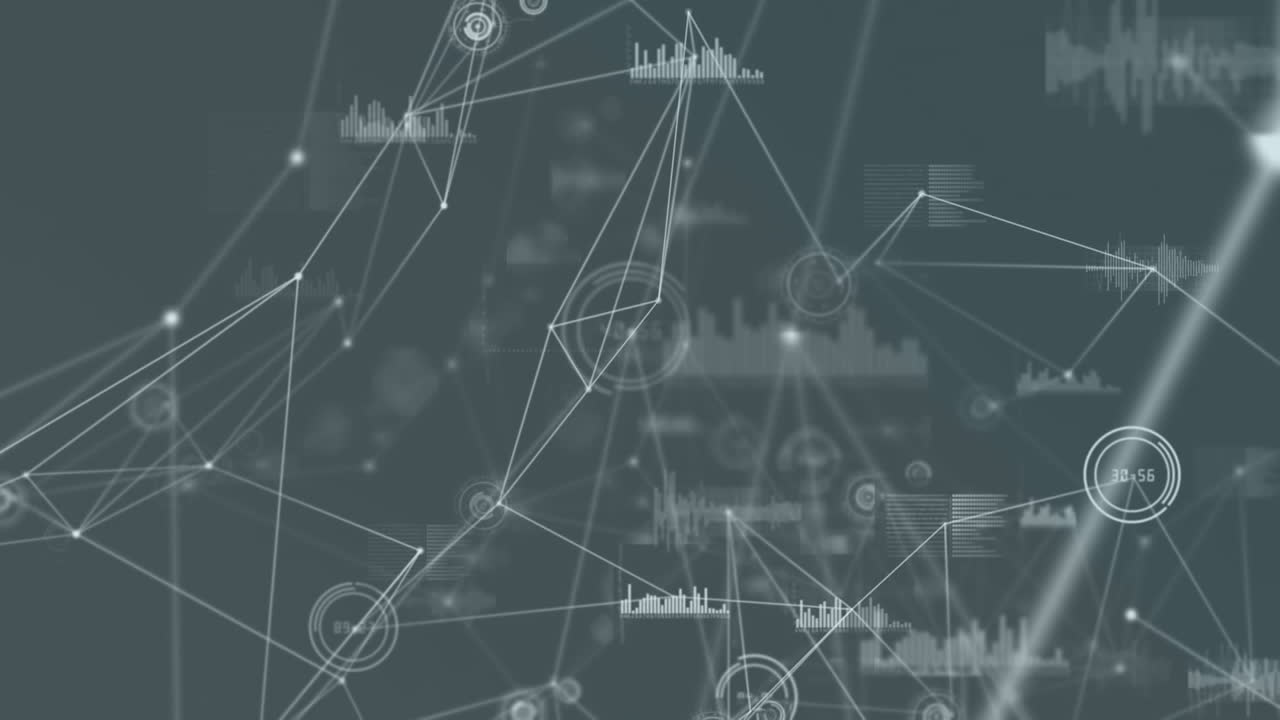 Animation of network of connections and data processing