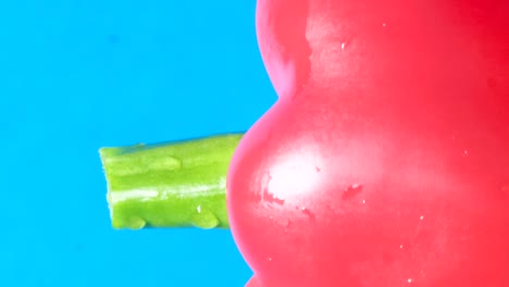 red paprika pepper on a blue background with water drops fresh vegetables cooking concept red paprika pepper on a blue background with water drops fresh vegetables cooking concept