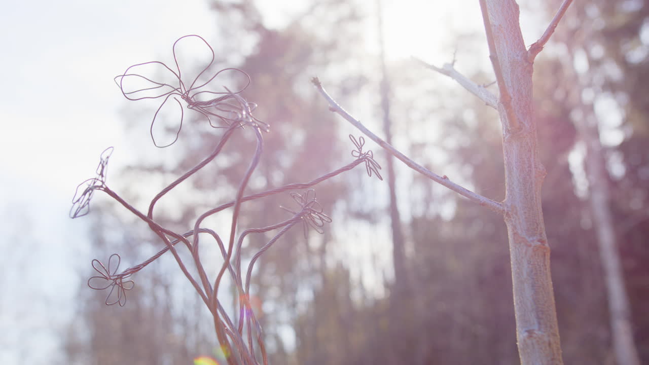 Electro culture growing, copper coil sculpture placed next to a fruit tree