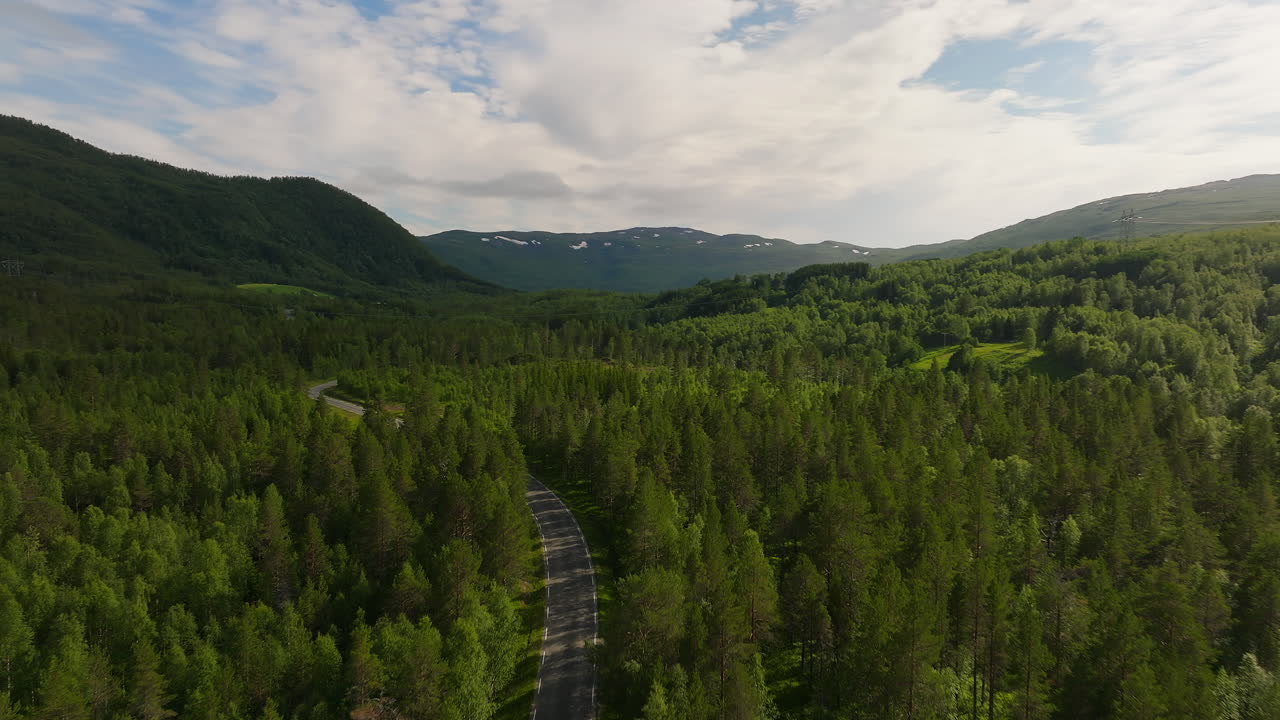 pintoresca naturaleza verde a lo largo de la carretera pavimentada en un día nublado en noruega