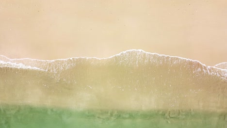 sea wave on a sandy beach