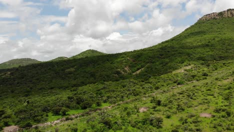 fotografía aérea de un paisaje verde montañoso y una carretera