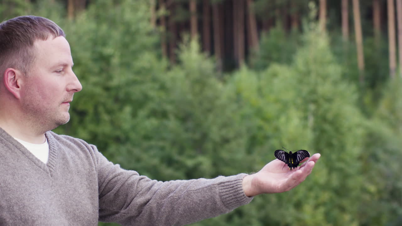 Man holding a black butterfly in forest