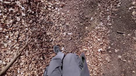 camminando su una foresta ricoperta di foglie morte