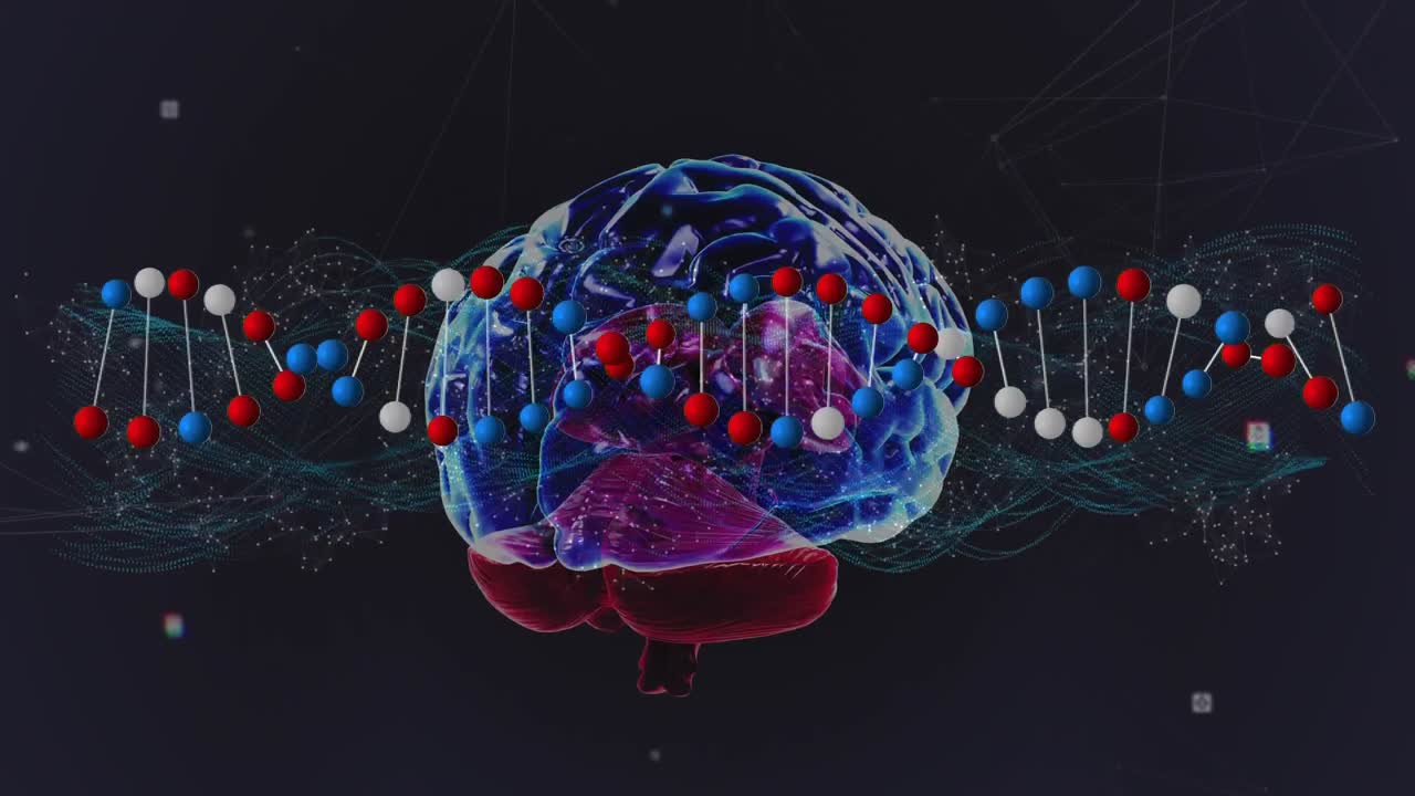 연결 네트워크와 인간의 뇌에서 회전하는 dna 가닥의 애니메이션