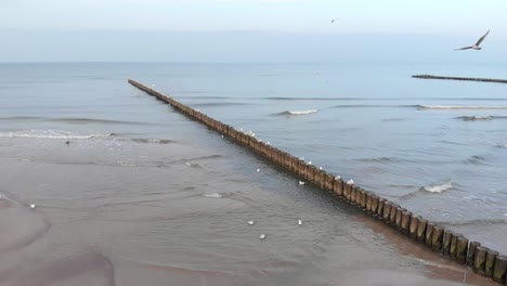 Aerial-shot-of-sandy-beach-in-Ustka-in-winter