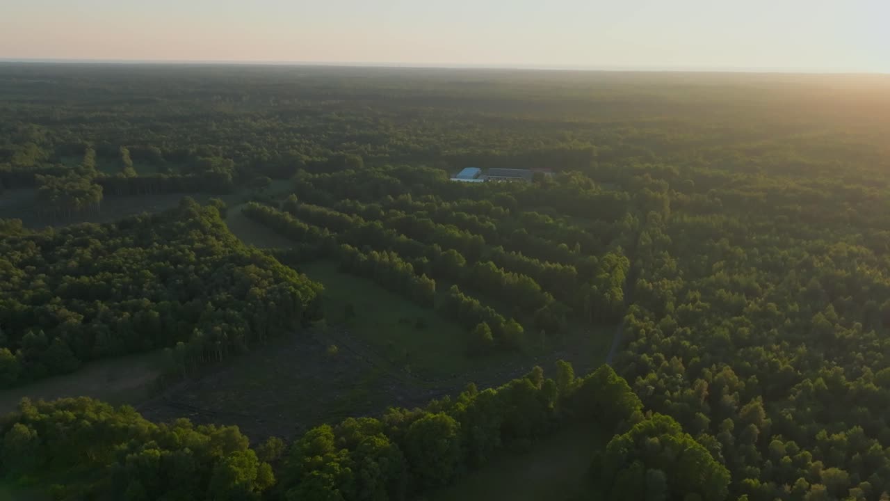 Flying over forest at golden hour revealing a small industrial building in the woods
