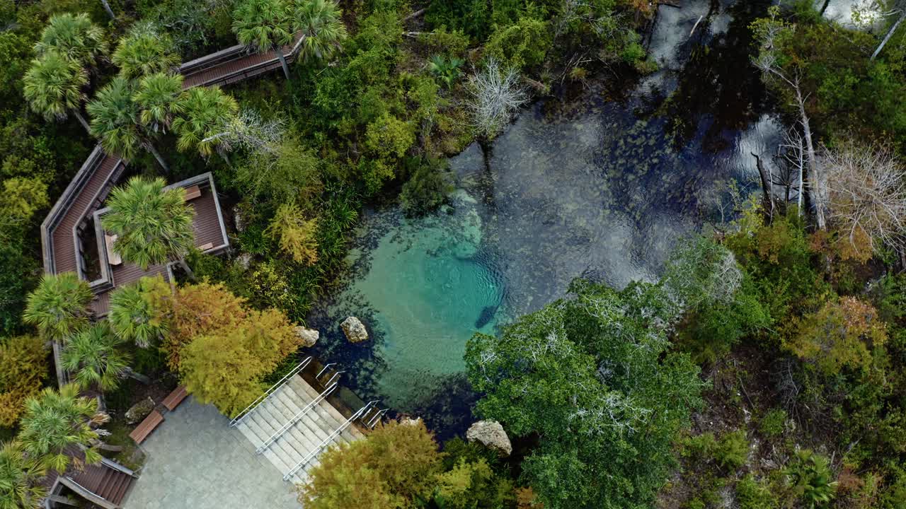 Crystal-blue spring surrounded by subtropical forest near Pitt and Sylvan Springs, Florida, featuring wooden decks, walkways, and reflective water framed by lush foliage and natural textures