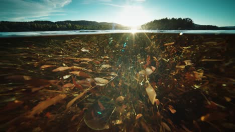 El-Sol-Brilla-Sobre-La-Superficie-Del-Agua-Tranquila-Lanzando-Bengalas