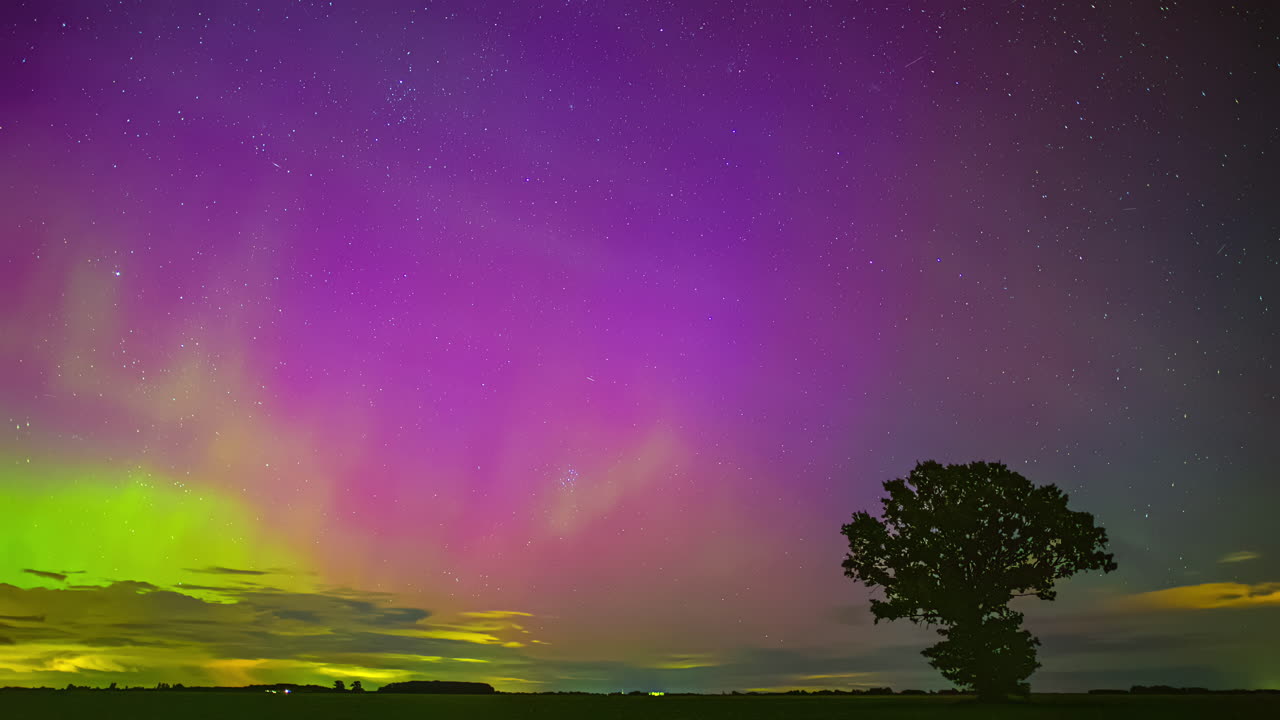 Vibrant Aurora Borealis over a Solitary Tree at Night