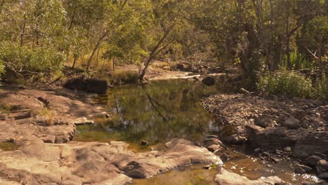 freshwater stream in cedar creek falls national park on sunny summertime in qld, australia