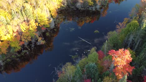 Luftumlaufbahn,-Die-über-Einen-Wasserstrom-Absteigt,-Wobei-Die-Vegetation-Mit-Einem-Wunderbaren-Herbsteffekt-Reflektiert-Wird