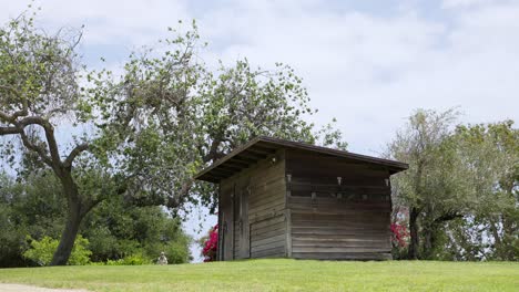 granero de madera en el bosque