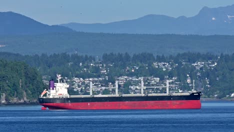 maritime marvel: container ships at duke point b, nanaimo