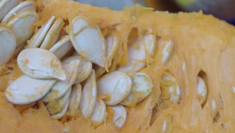 close-up of pumpkin seeds and inner pulp