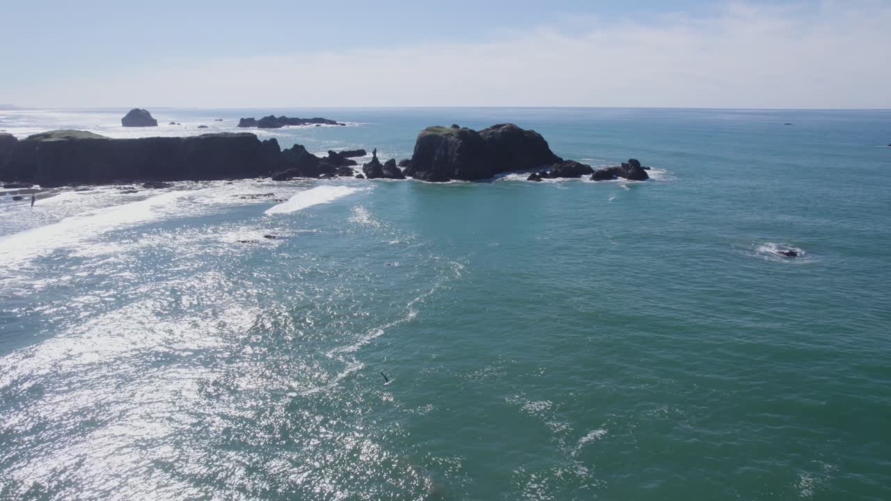 Incredible 4k aerial dolly of stunning Oregon coast with seagulls soaring