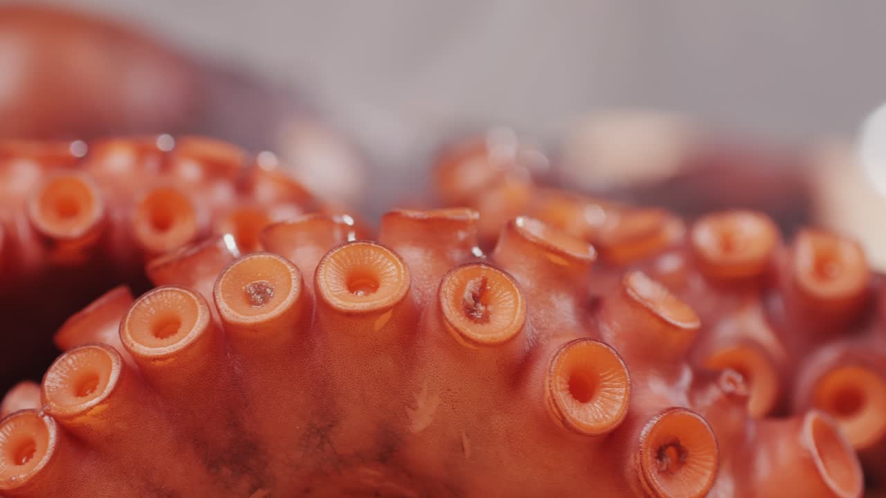 Octopus cooking, chef Boiling fresh octopus on restaurant kitchen, healthy food, seafood cafe in spain, traditional asian japanese spanish and mediterranean dish.