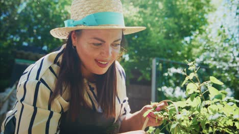 mujer cosechando bayas en un jardín