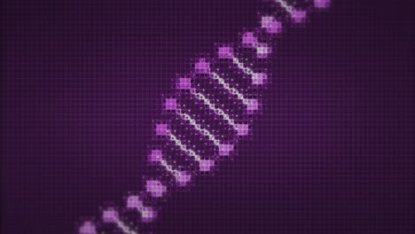 Animation-of-pixelated-digital-3d-purple-and-white-double-helix-DNA