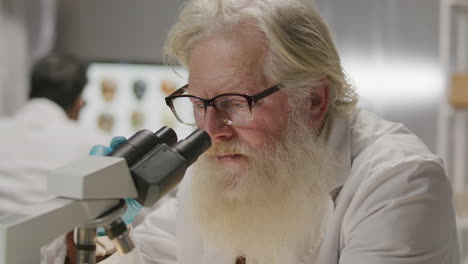 Elderly Scientist Looking through Microscope in Research Laboratory