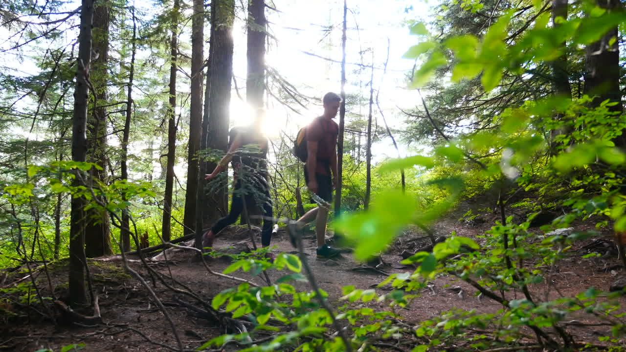 산책 하는 부부 가 숲 에서 산책 하고 있다