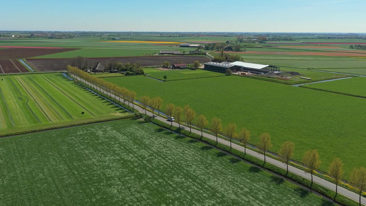 Luftfoto af en autocamper, der kører gennem hollandske tulipanmarker