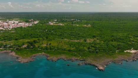 verdant landscape along bayahibe coast, la romana in dominican republic