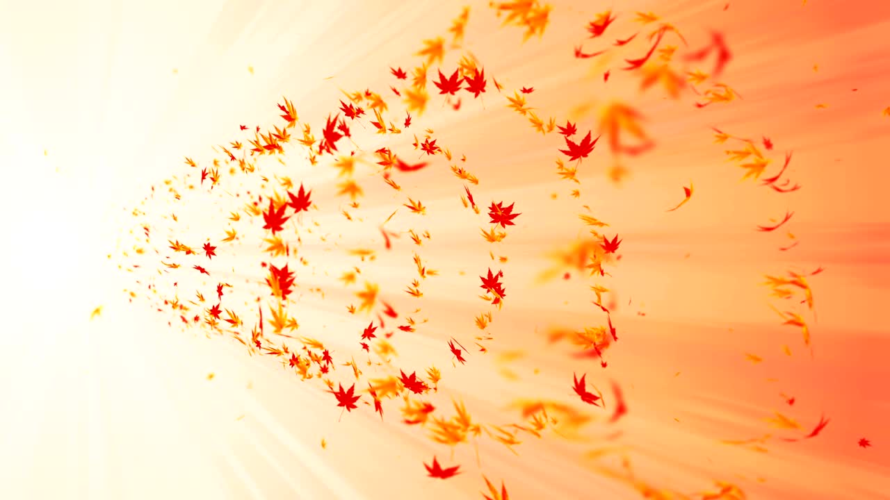 다채로운 메이플과 잎에서 나온 소용돌이, 가을 잎의 나선형 반이는 입자, 춤추는 잎, 다채로운 자연 터널 루프 애니메이션.