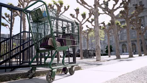carrito de compras abandonado en el parque