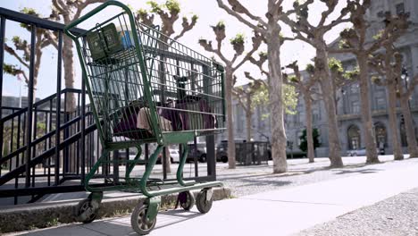 shopping cart abandoned in the park