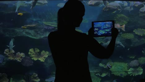 oceanarium visitor taking photos with tablet pc