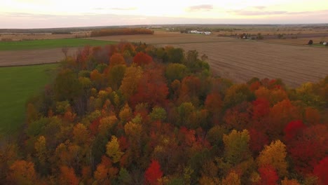 Beautiful-fall-foliage-aerial-scene-flying-over-colorful-hardwoods-full-of-autumn-colors