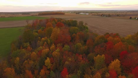 beautiful fall foliage aerial scene flying over colorful hardwoods full of autumn colors