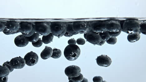 blueberry inside transparent aqua vessel closeup. water with berries in glass