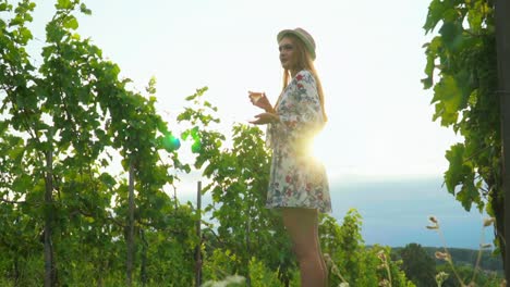 stunning hd footage of a white caucasian woman with a knitted hat, dress and red lipstick stands among vineyards, sipping wine, bathed in the rays of the sun