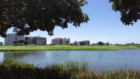 una foto de seguimiento del estadio de ciudad del cabo desde el parque urbano de punto verde