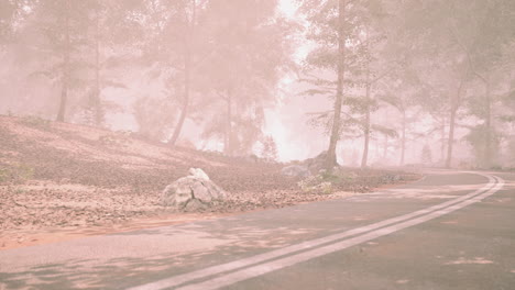 mist covered forest path with autumn leaves in the morning