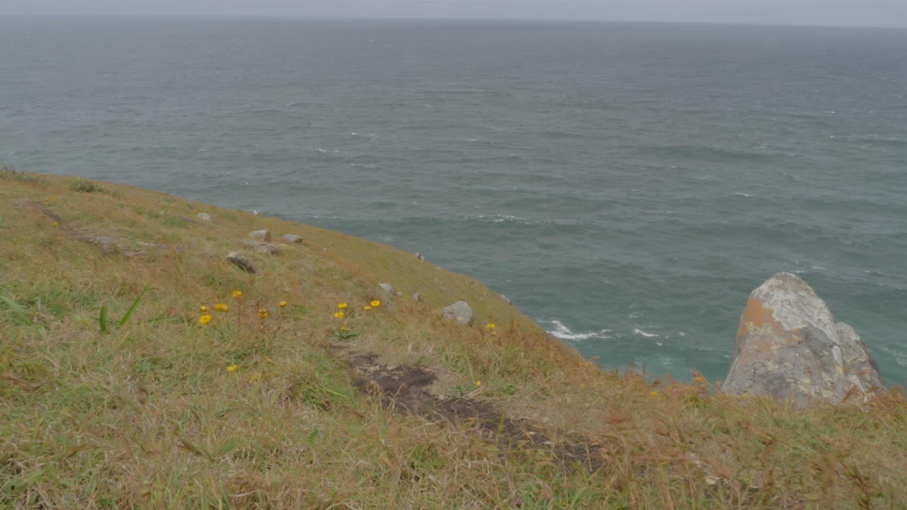 초승달 머리 전망대, 뉴 사우스 웨일즈, 호주 배경에서 바다와 바람에 날리는 반도에서 잔디와 꽃