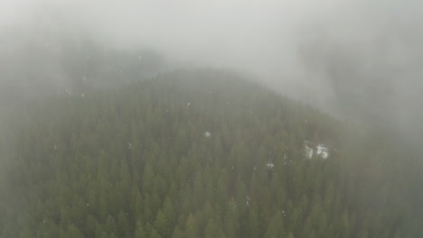 Toma-Aérea-Panorámica-Desde-Una-Nube-De-Nieve-Que-Cae-Sobre-Un-Bosque-De-Pinos