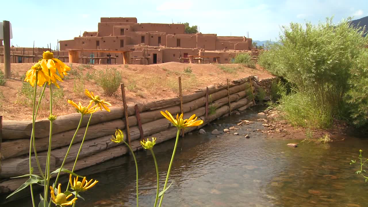 뉴 멕시코 1 타오스 푸에블로 근처의 노란 꽃