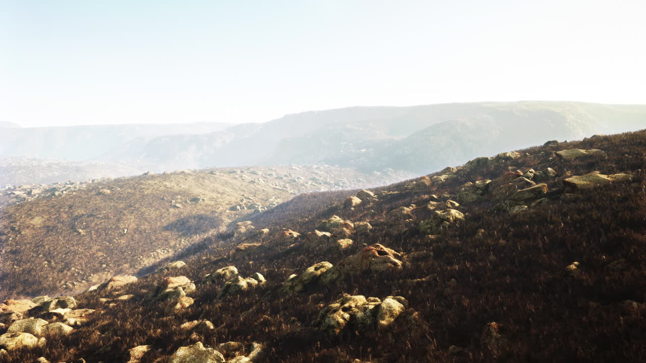 불타버린 산의 풍경